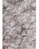 Ковер 03819A - GREY / BROWN - Прямоугольник - коллекция ARMINA