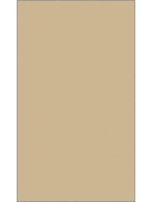 Ковер P000 - BEIGE - Прямоугольник - коллекция KAIR