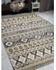 Ковер 06050A - BROWN / TOZ GRI - Прямоугольник - коллекция PRAGA