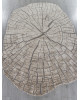 Ковер 00839C - GREY / BROWN - Прямоугольник - коллекция SAFIR