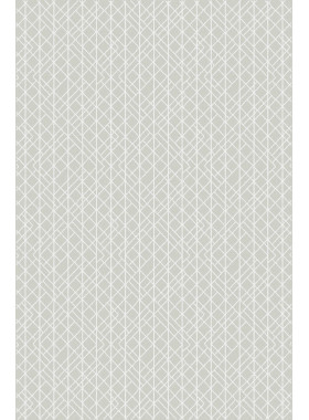 Ковер F601 - GRAY - Прямоугольник - коллекция DINO 2x3 м