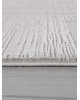 Ковер F439 - GRAY - Прямоугольник - коллекция DIOS