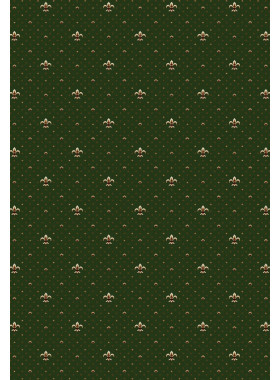 Ковер E027 - GREEN - Прямоугольник - коллекция ETALON 0,8x1,5 м