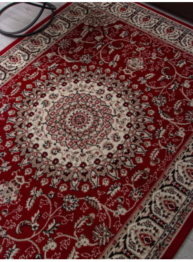 Ковер D409 - RED - Прямоугольник - коллекция GAVANA 2,5x4 м