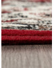 Ковер D411 - RED - Прямоугольник - коллекция GAVANA
