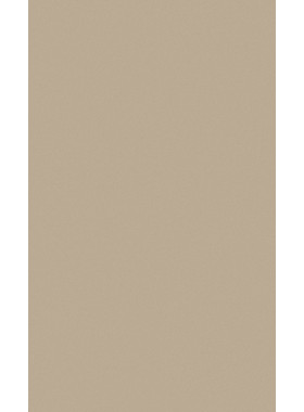 Ковер P000 - BEIGE - Прямоугольник - коллекция KAIR 1,92x2,9 м