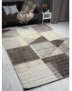 Ковер 06052B - BROWN / TOZ GRI - Прямоугольник - коллекция PRAGA