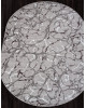 Ковер F389 - GRAY - Овал - коллекция SILVER