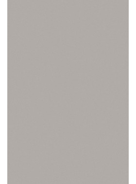 Ковер P000 - GRAY - Прямоугольник - коллекция SILVER 3x4 м