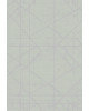 Ковер F646 - GRAY - Прямоугольник - коллекция SKAT