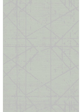 Ковер F646 - GRAY - Прямоугольник - коллекция SKAT 2x2,9 м