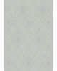 Ковер F647 - GRAY - Прямоугольник - коллекция SKAT